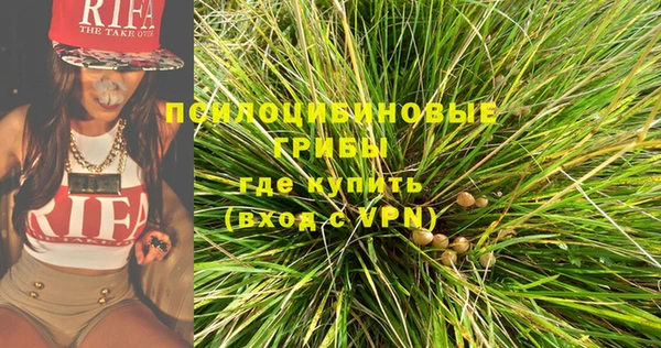 ALPHA PVP Гусь-Хрустальный