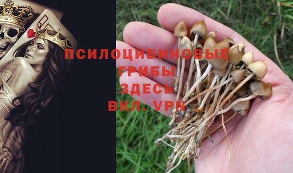 альфа пвп Гусиноозёрск