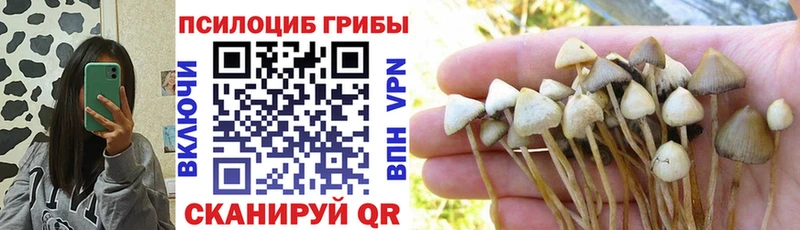 Псилоцибиновые грибы мицелий  hydra маркетплейс  Дивногорск 